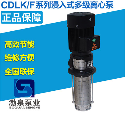 CDLKF4-50/5_液下式多级离心泵