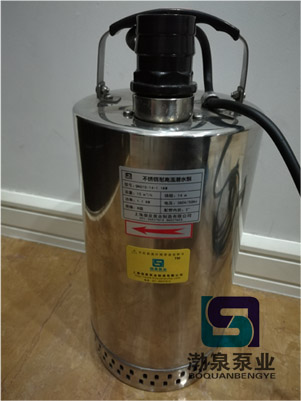 耐酸碱不锈钢潜水泵_QDN10-10-0.75KW